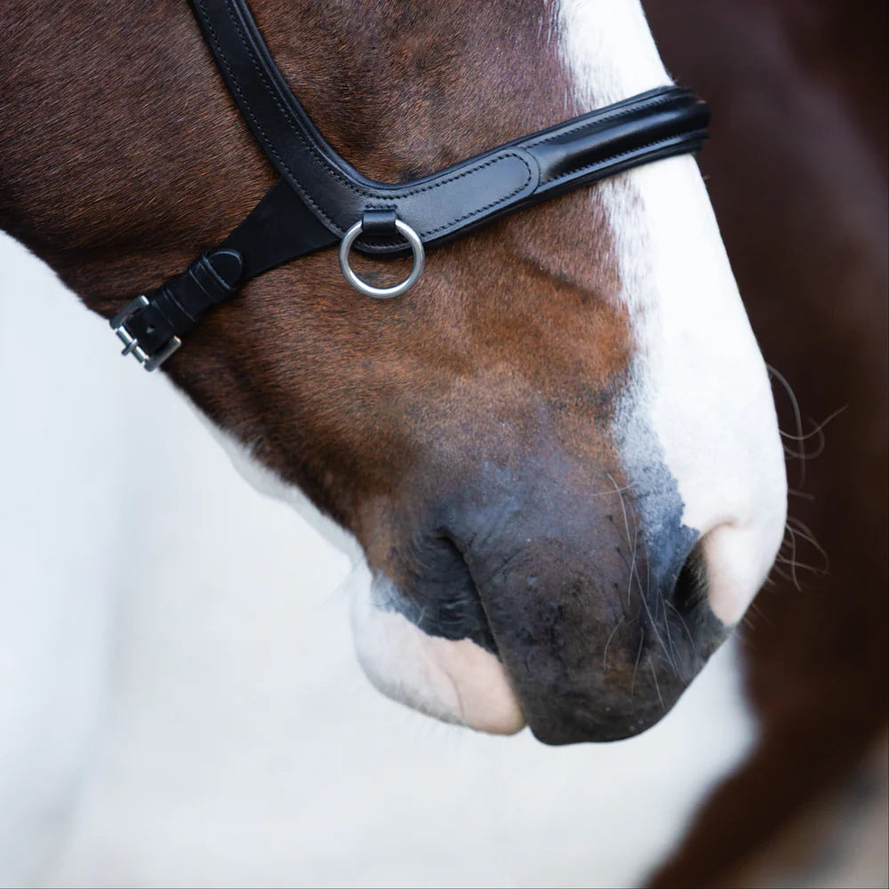 Lumiere Santiago Bitless Bridle