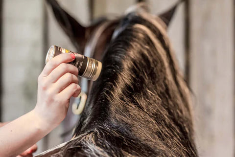 Grooming Plaiting Wax