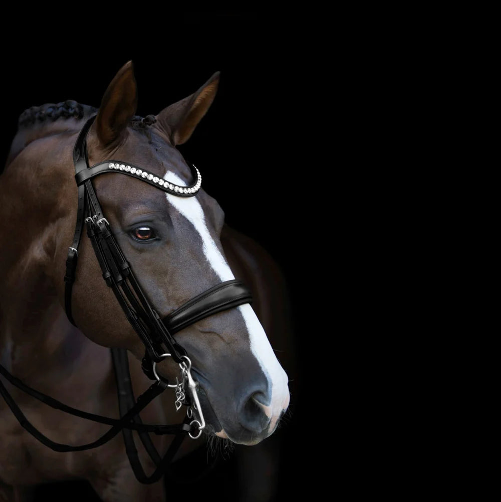 Lumiere Athens Luxury Double Leather Bridle