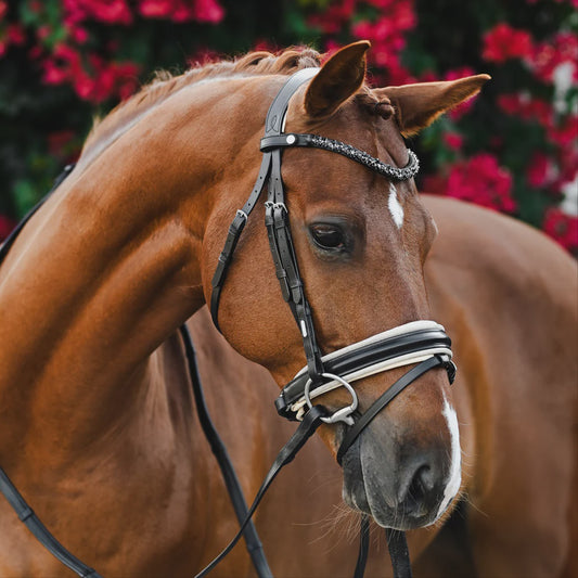 Lumiere Sibella Bridle Hannovrian