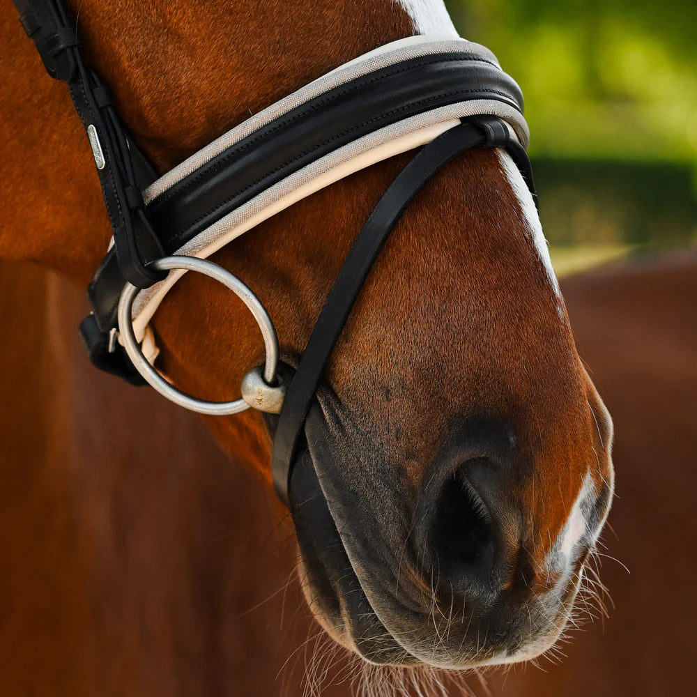 Lumiere Sibella Bridle Hannovrian