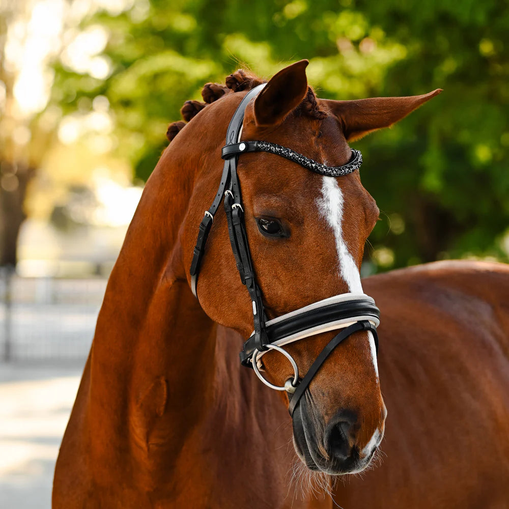 Lumiere Sibella Bridle Hannovrian