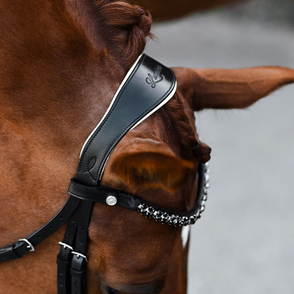 Lumiere Sibella Bridle Hannovrian
