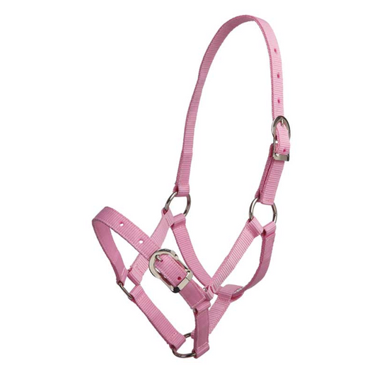 Small Pony Halter Pink
