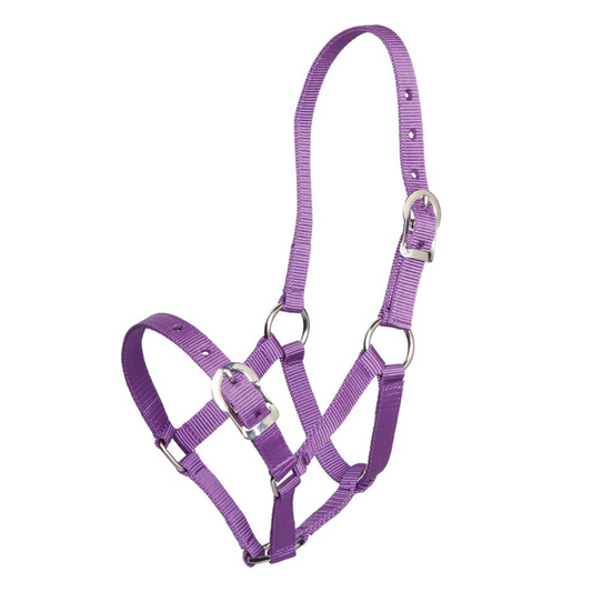 Small Pony Halter Purple