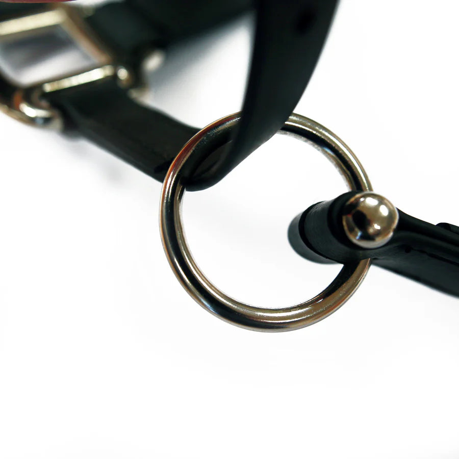 Equilibrium Stellar Headcollar II