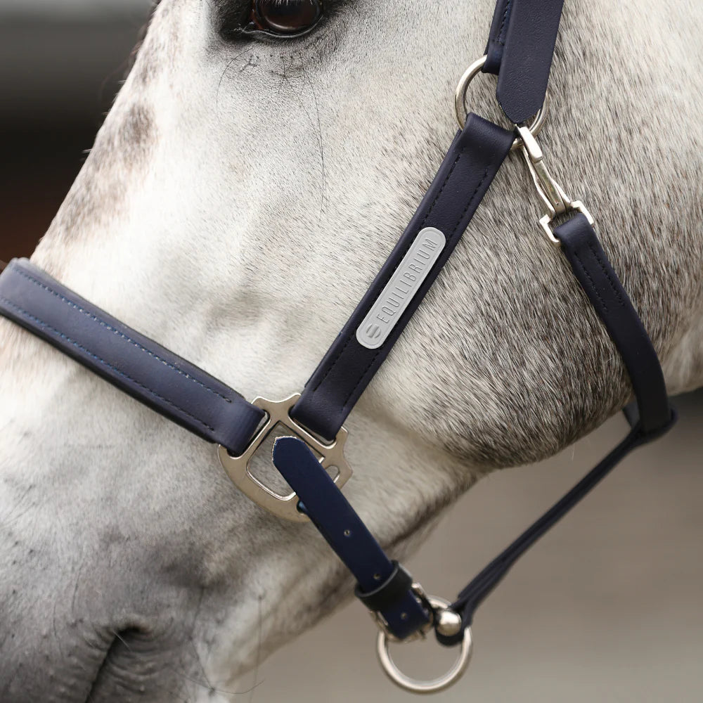 Equilibrium Stellar Headcollar II