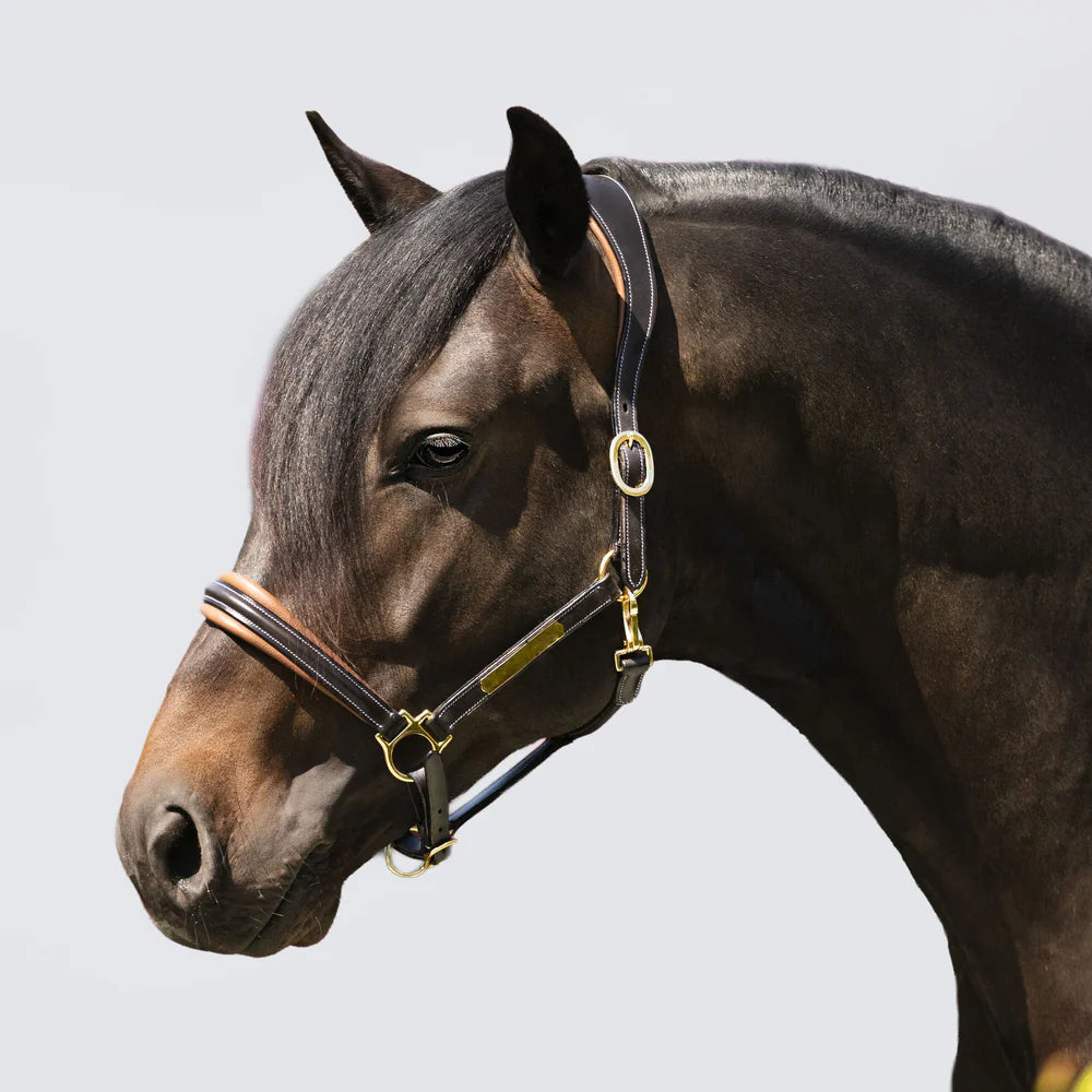Lumiere Bella Leather Halter