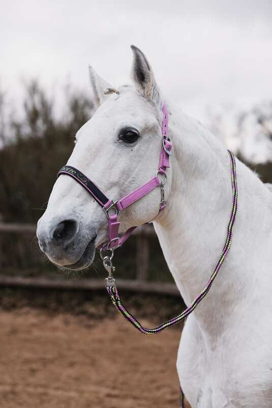 Horze Graffiti Pony Halter Set