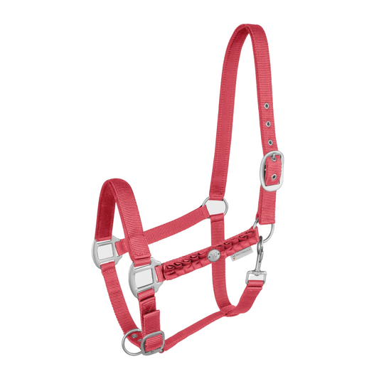 Waldhausen Florence Halter Hisbiscus