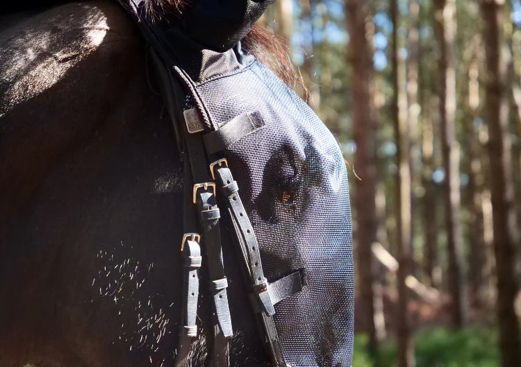 Equilibrium Net Relief Riding Mask