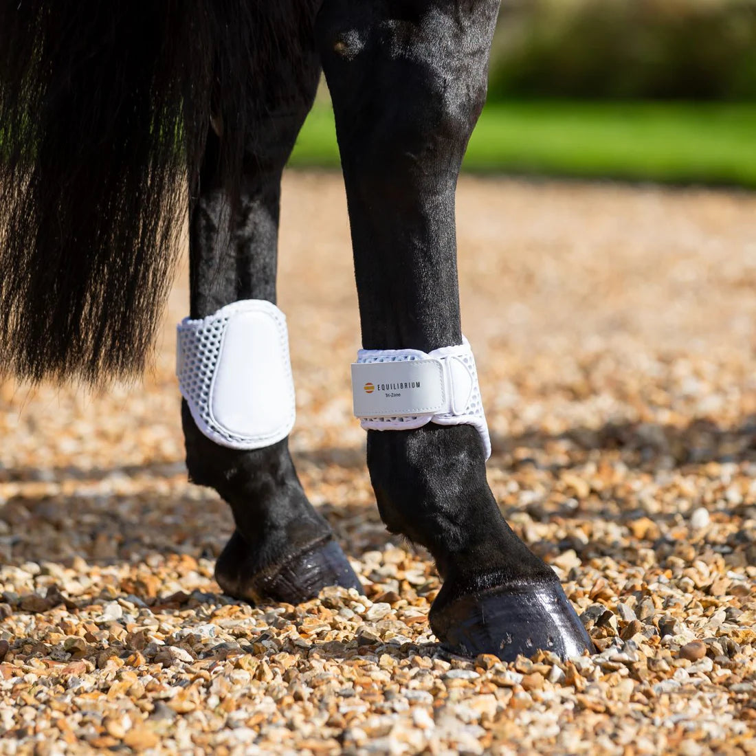 Tri-Zone Fetlock Boots White