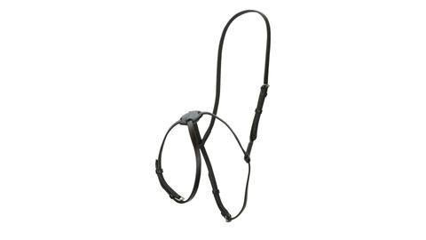 Aintree Grakle Noseband Black - Aitken's Saddlery