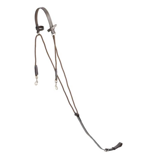 Aintree Chambon Martingale Brown