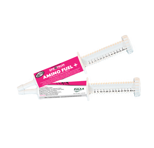 Amino Fuel Paste - Aitken's Saddlery
