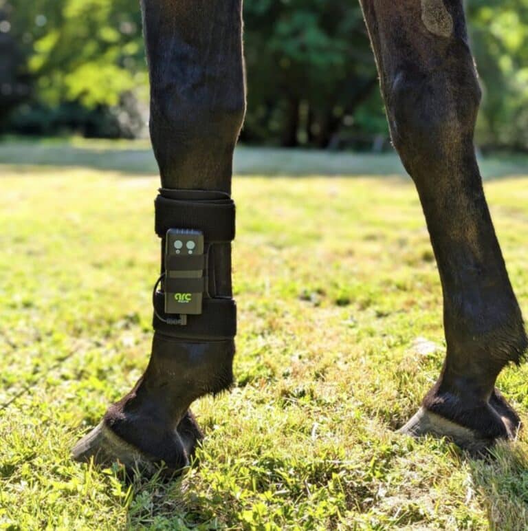 ArcEquine Complete Kit - Aitken's Saddlery