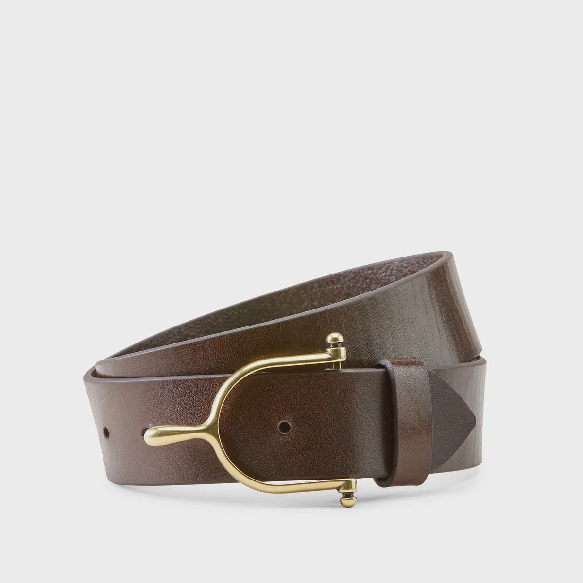 Ariat Ladies Spur II Belt Brown - Aitken's Saddlery
