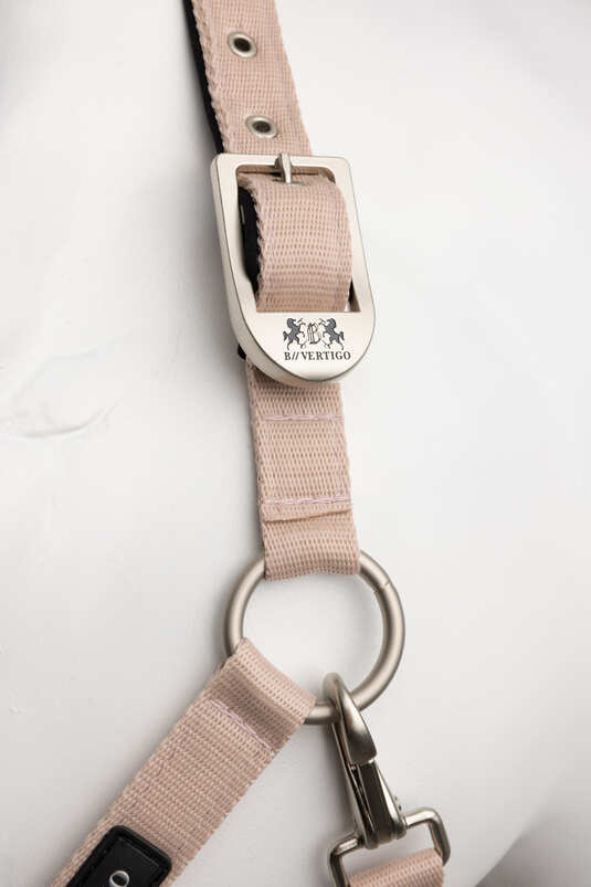 B Vertigo Hardwick Halter - Aitken's Saddlery