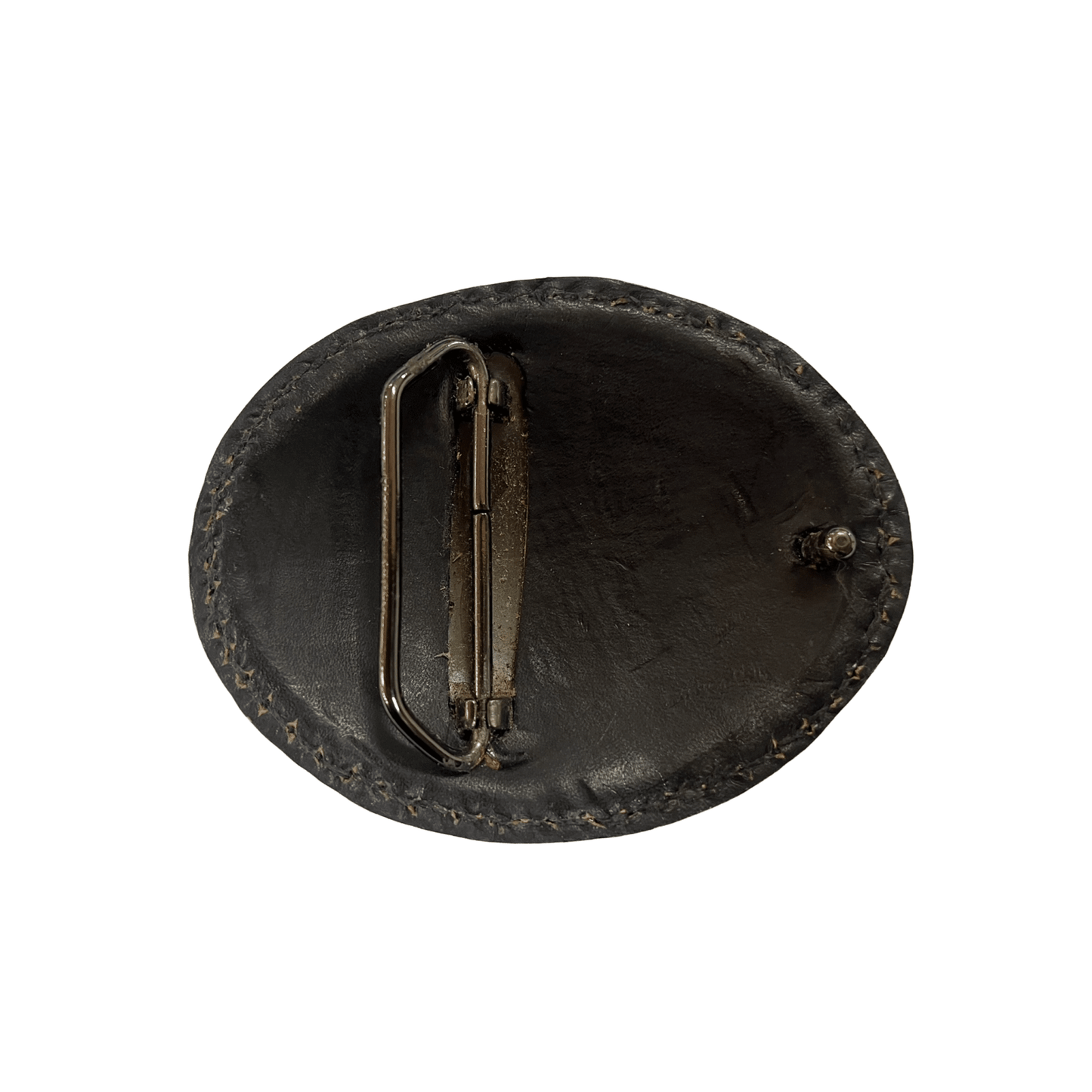 Buckle Exoctic Skin Cane Toad - Aitken's Saddlery