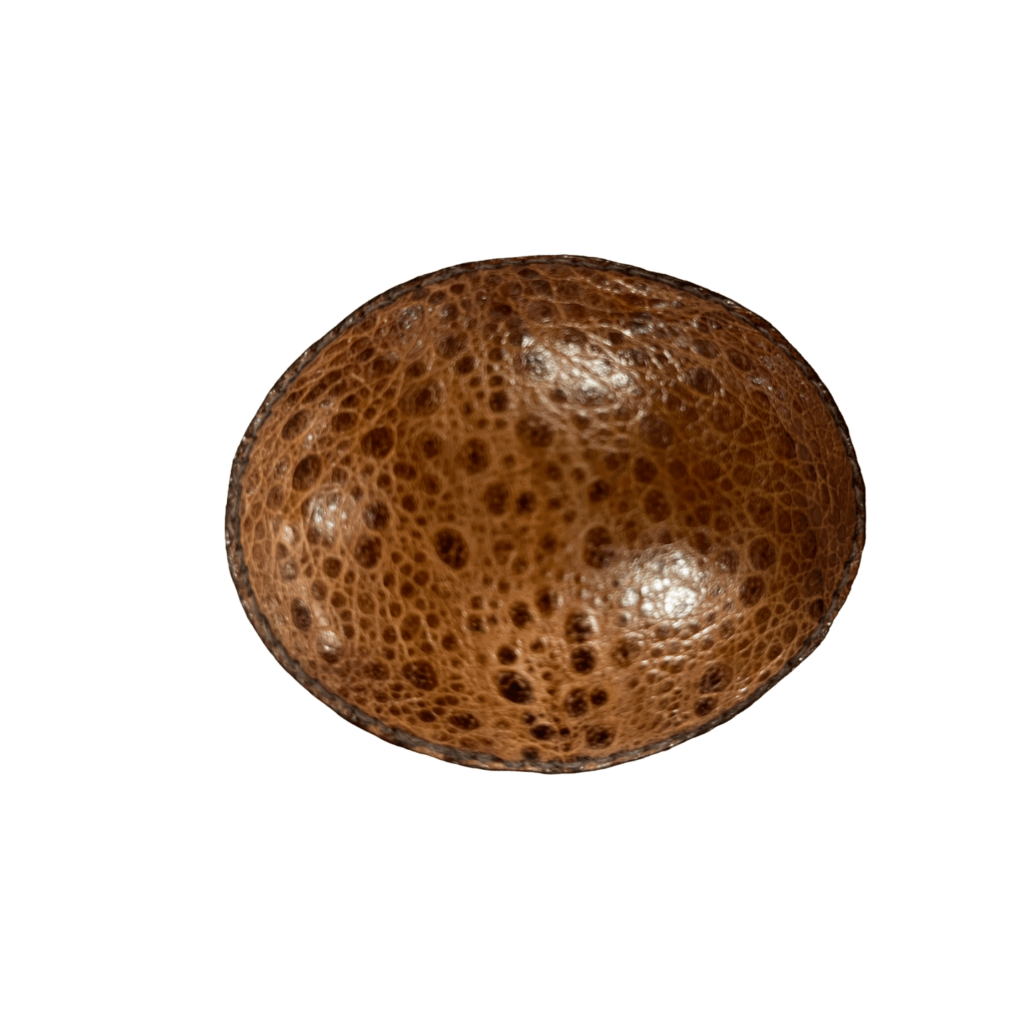 Buckle Exoctic Skin Cane Toad - Aitken's Saddlery