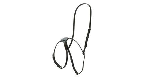 Aintree Grakle Noseband Black