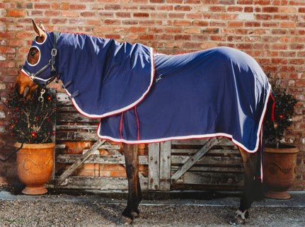 Cavalier Cotton Show Set Navy - Aitken's Saddlery