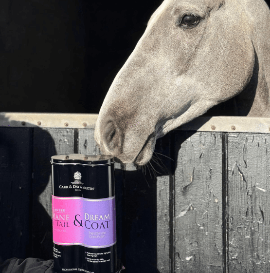CDM Duo PackCanter & Dreamcoat - Aitken's Saddlery