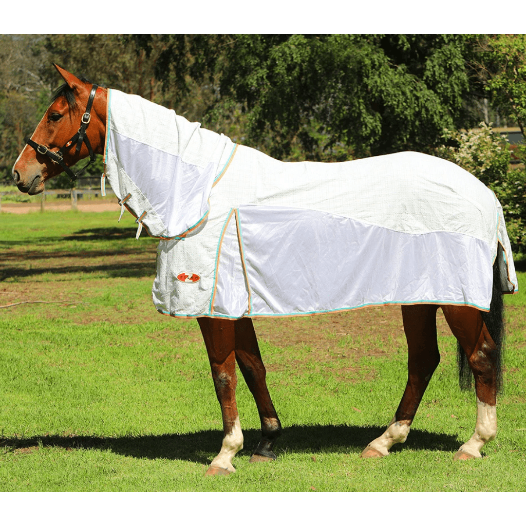 Combo Econo Hybrid White - Aitken's Saddlery