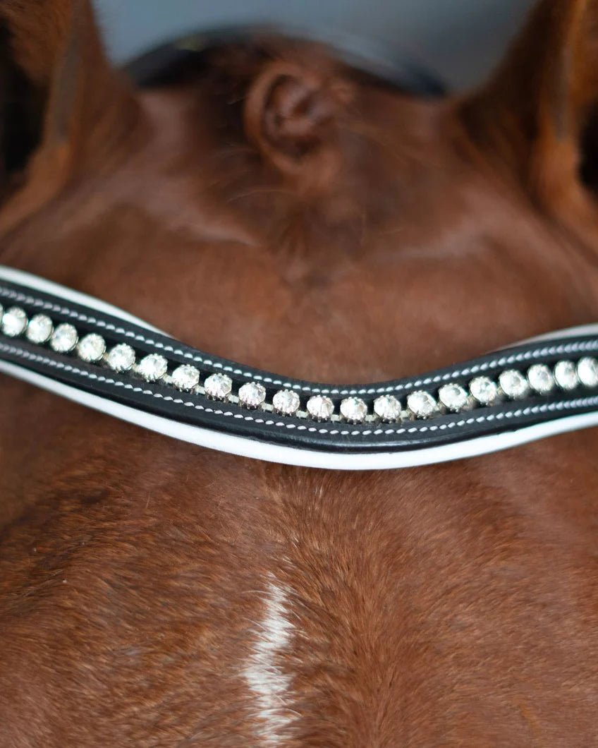 Correct Connect Patent Bridle with White Padding - Aitken's Saddlery