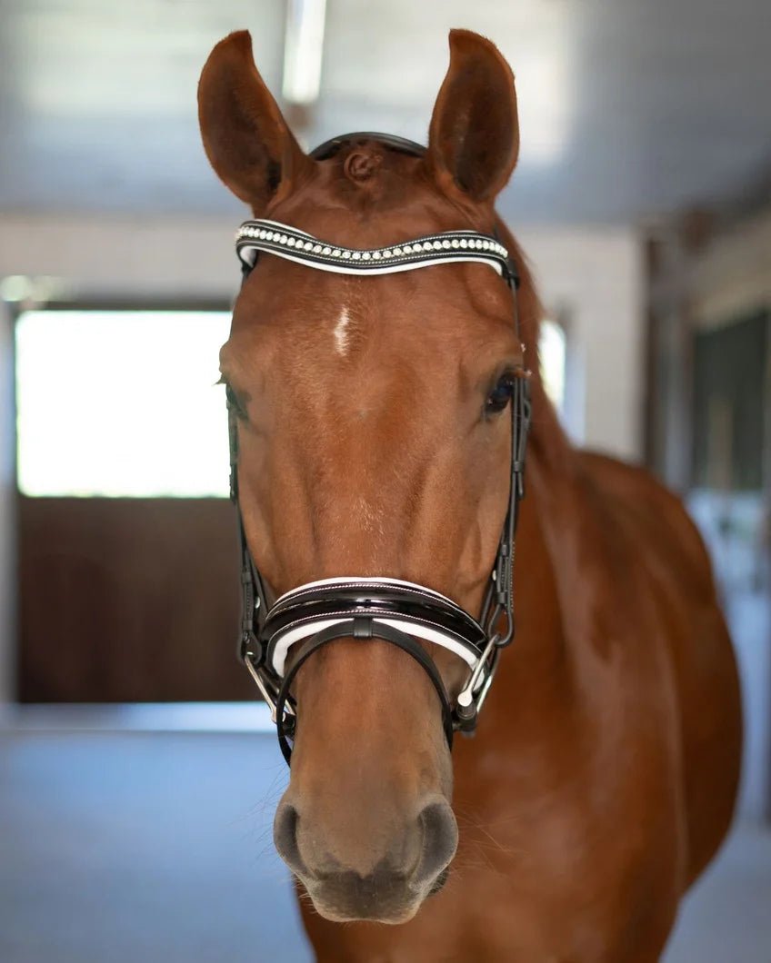 Correct Connect Patent Bridle with White Padding - Aitken's Saddlery