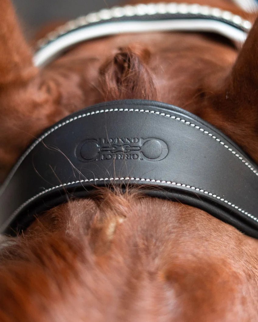 Correct Connect Patent Bridle with White Padding - Aitken's Saddlery