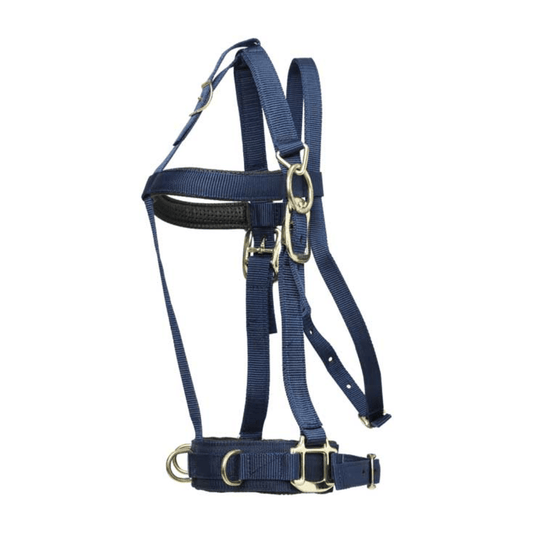 Deluxe Lunge Halter Navy - Aitken's Saddlery