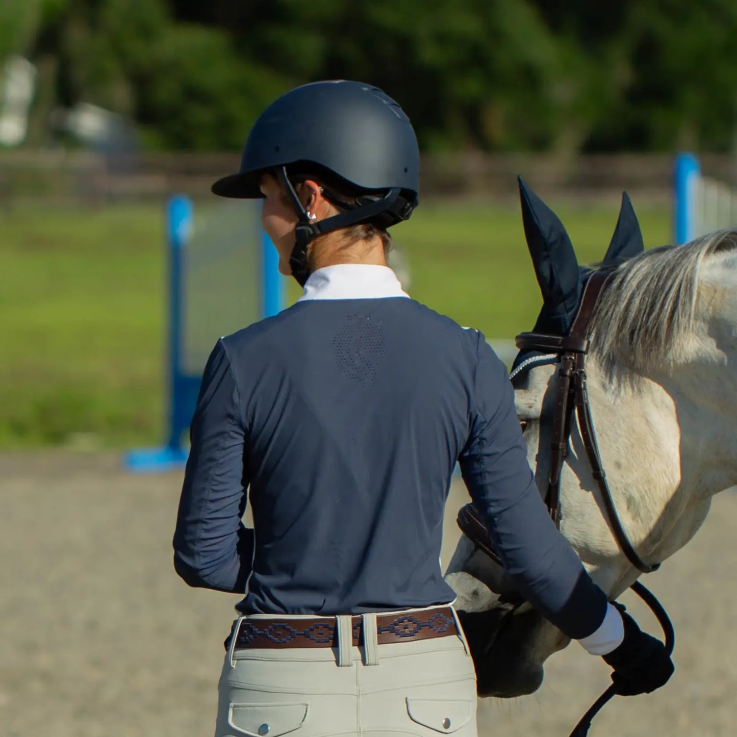 Equinavia Crown MIPS Helmet Navy & Gold