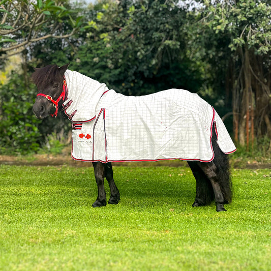 Econostop Mini Combo - Aitken's Saddlery