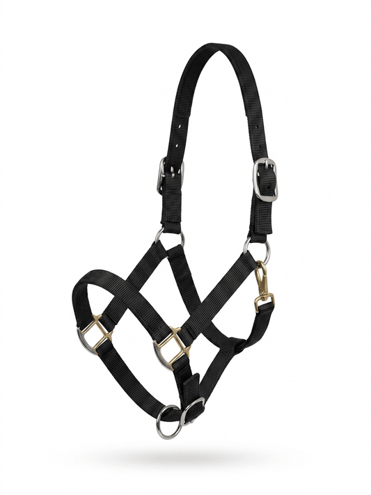 EP Nylon Headstall - Aitken's Saddlery