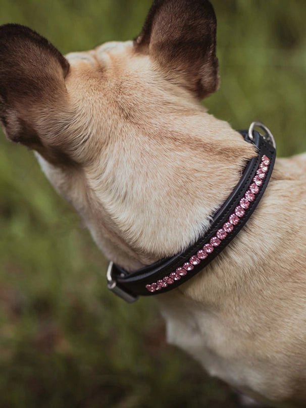 Equestrian Stockholm Dog Collar All in Pink - Aitken's Saddlery
