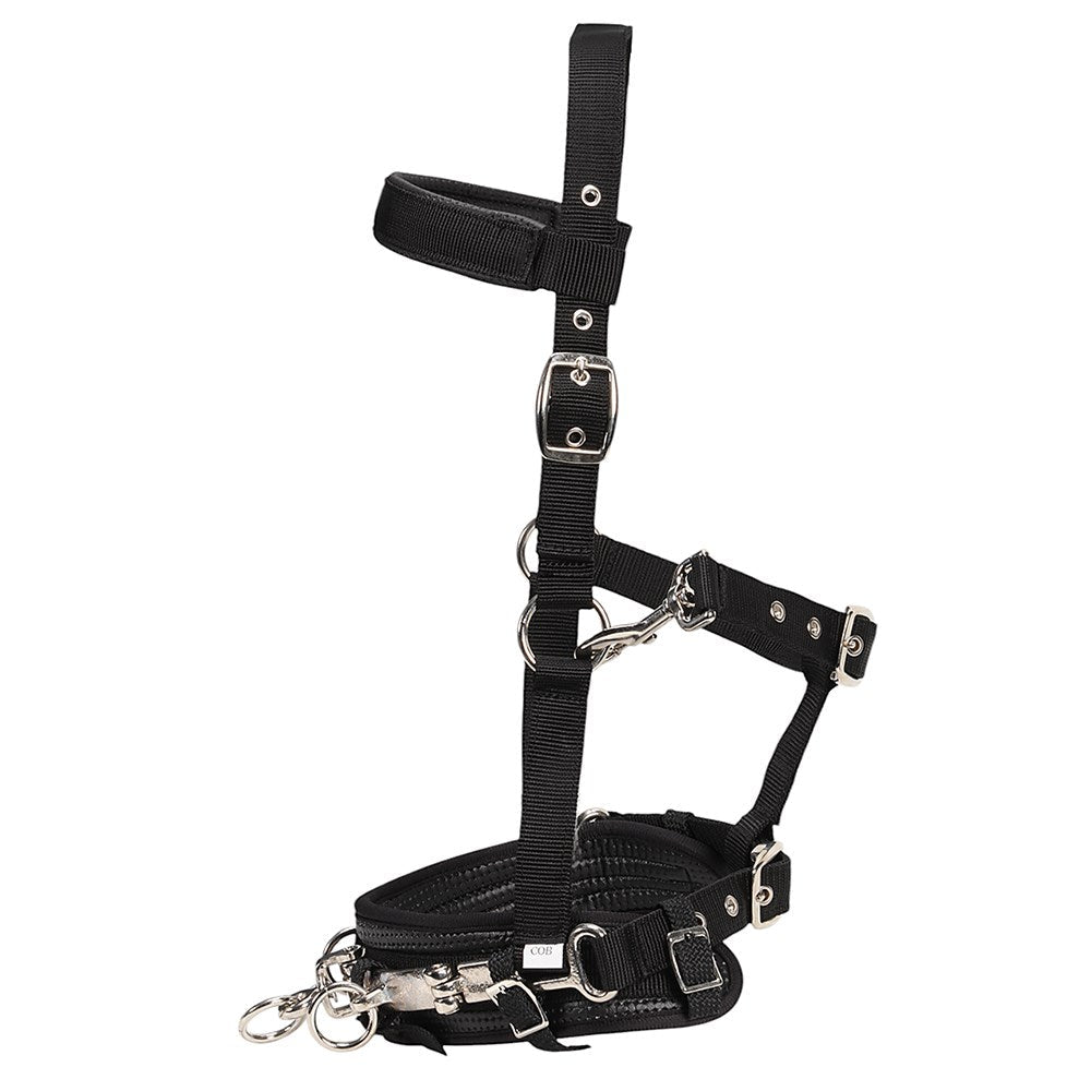 Equi Prene Lunge Cavesson - Aitken's Saddlery