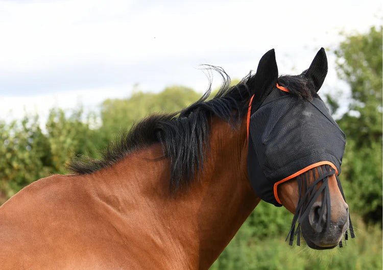 Equilibrium Field Relief Muzzle Fringe One Size Black - Aitken's Saddlery