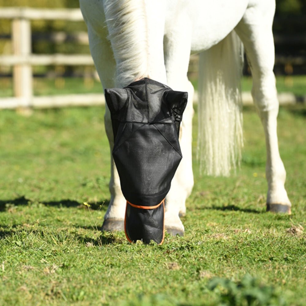 Equilibrium Fly Mask Max Black - Aitken's Saddlery