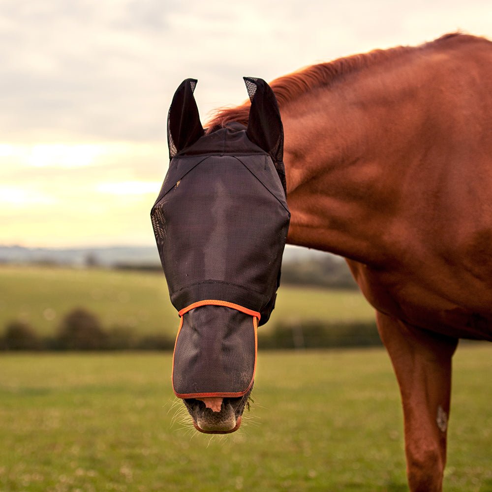 Equilibrium Fly Mask Max Black - Aitken's Saddlery