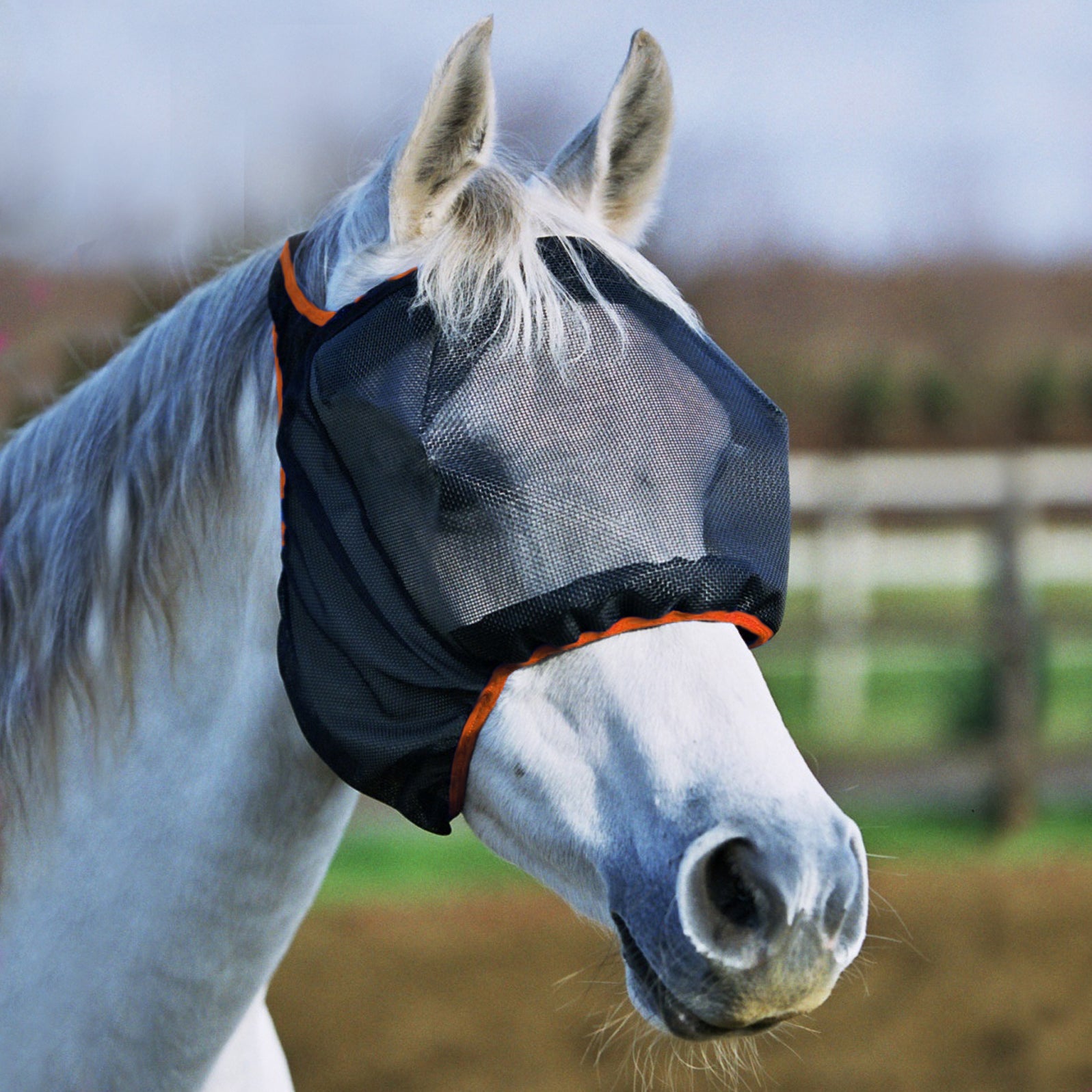 Equilibrium Fly Mask Midi No Ears Black - Aitken's Saddlery