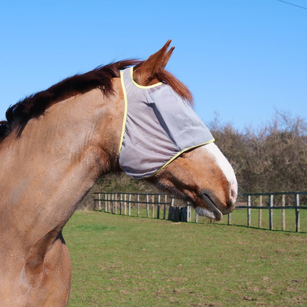 Equilibrium Fly Mask Midi No Ears Grey - Aitken's Saddlery
