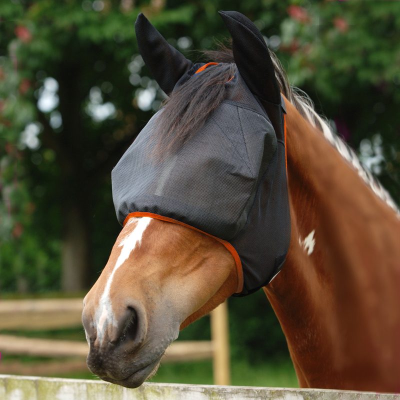 Equilibrium Fly Mask Midi with Ears Black - Aitken's Saddlery