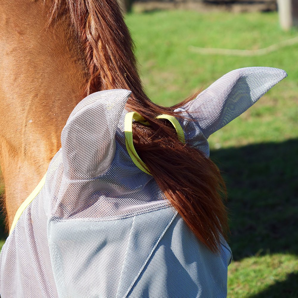 Equilibrium Fly Mask Midi with Ears Grey - Aitken's Saddlery