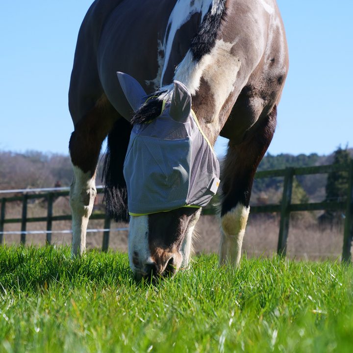 Equilibrium Fly Mask Midi with Ears Grey - Aitken's Saddlery
