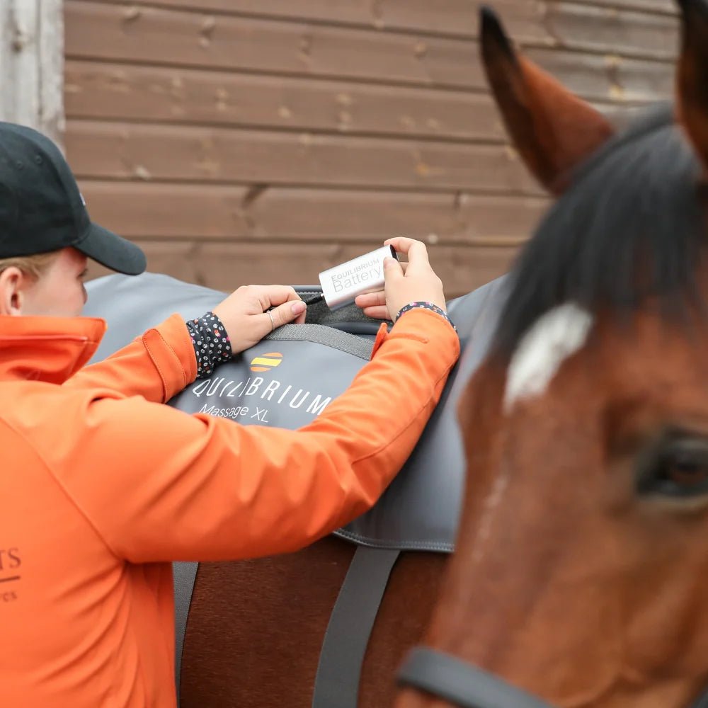 Equilibrium Massage Pad Grey - Aitken's Saddlery