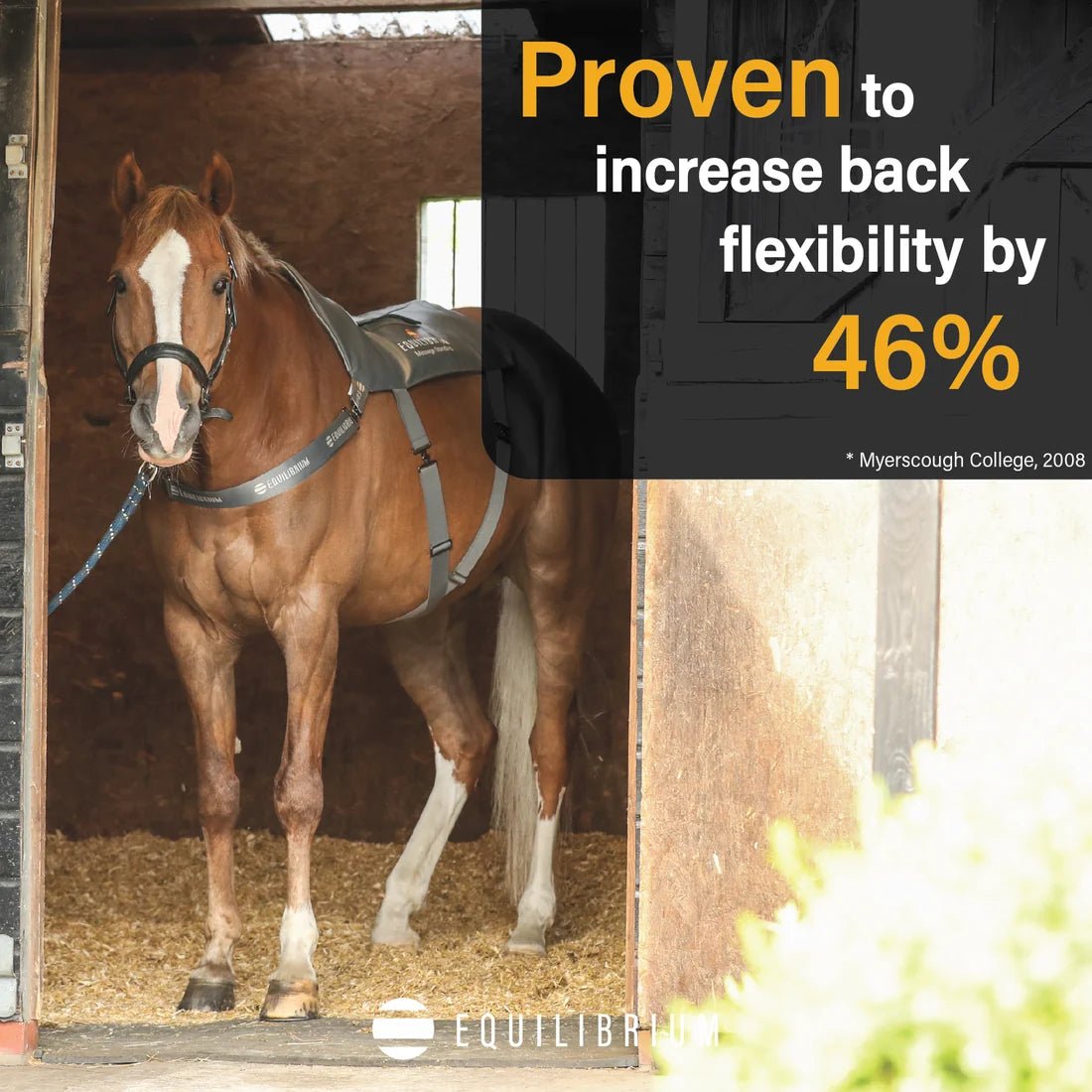 Equilibrium Massage Pad Grey - Aitken's Saddlery
