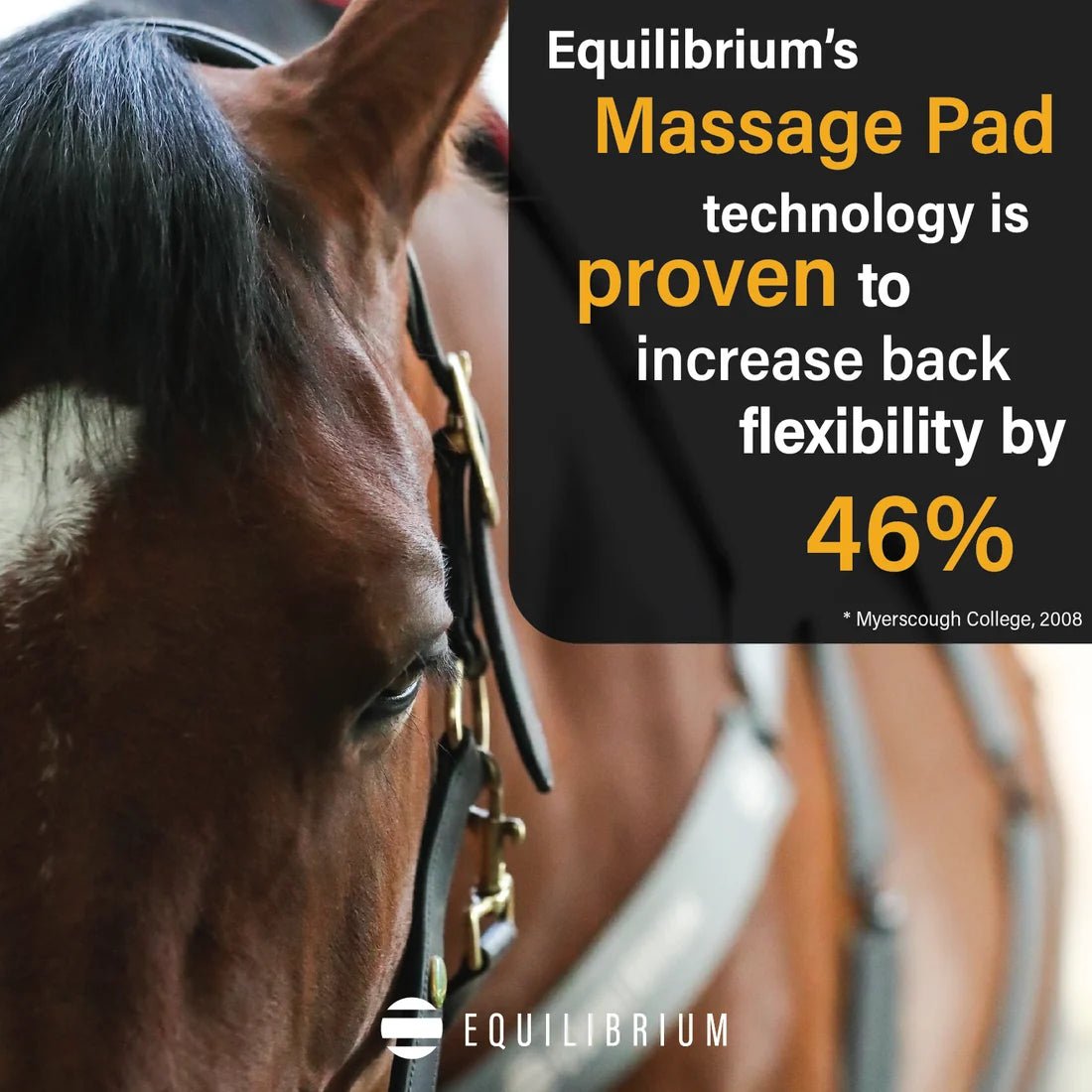 Equilibrium Massage Pad Heat Sense PU & Nylon Back Pad - Aitken's Saddlery