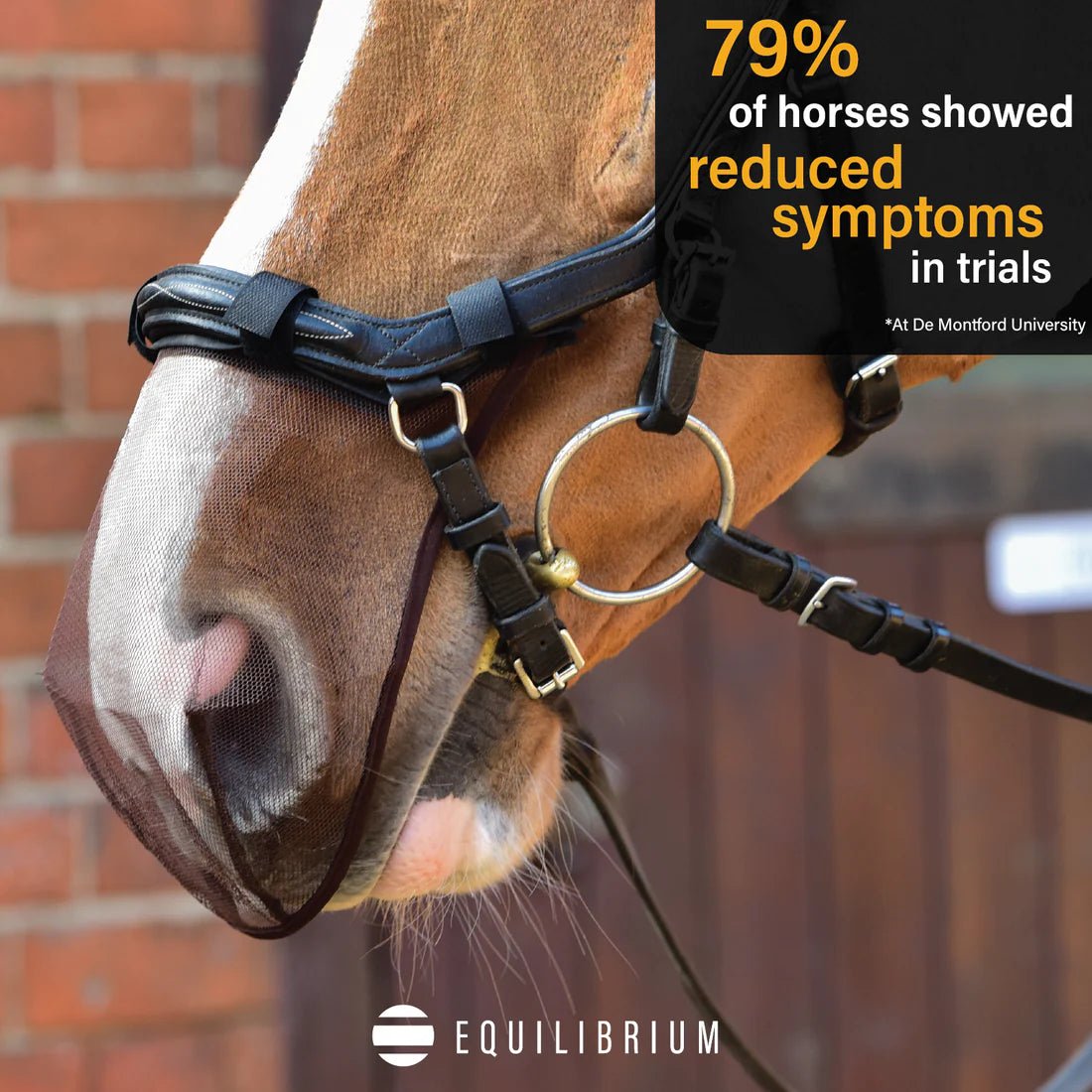Equilibrium Net Relief Muzzle Net for Antomical Bridles - Aitken's Saddlery