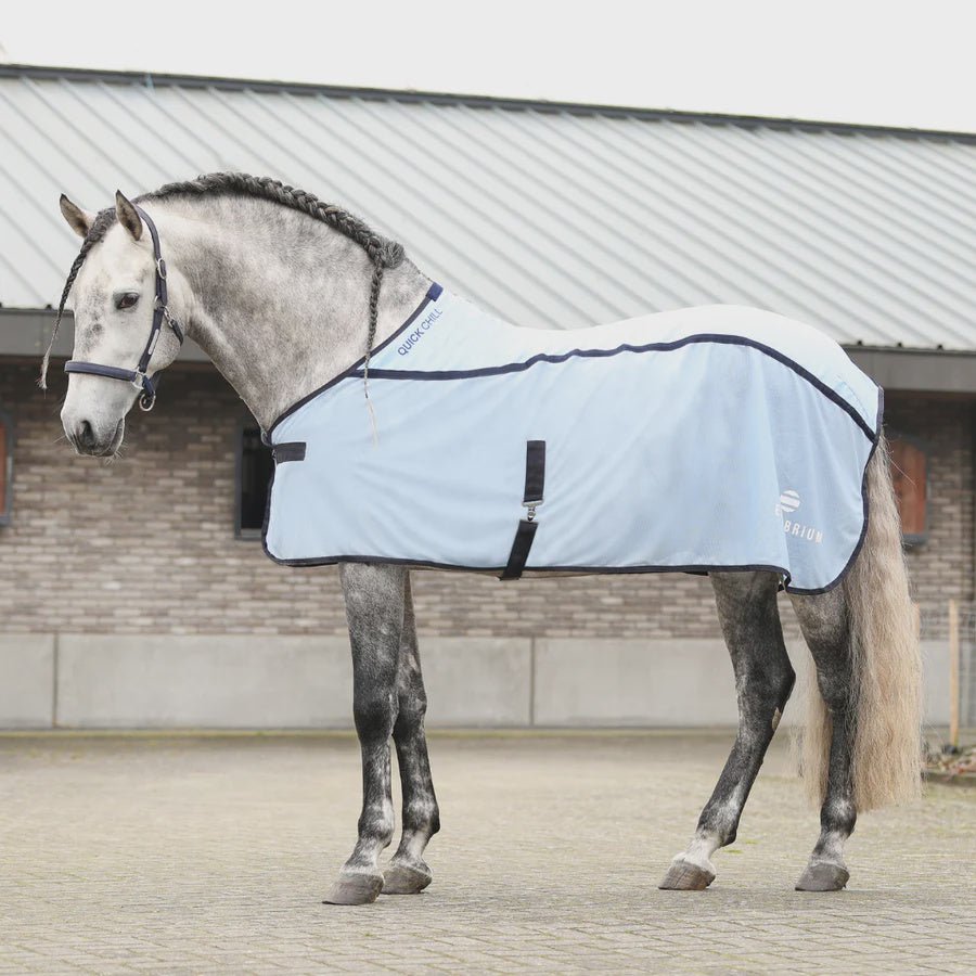 Equilibrium Quick Chill Cool Rug - Aitken's Saddlery